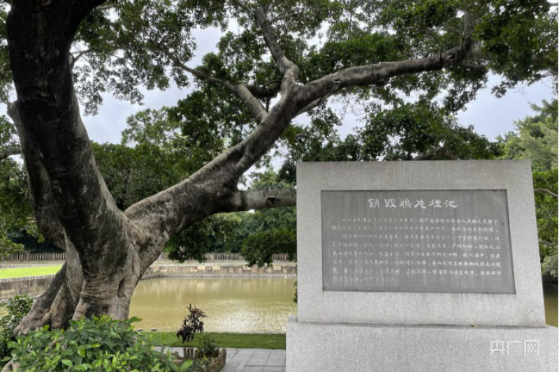 BB电子 BB平台风从海上来！从三次觉醒看“何以东莞”？(图2)