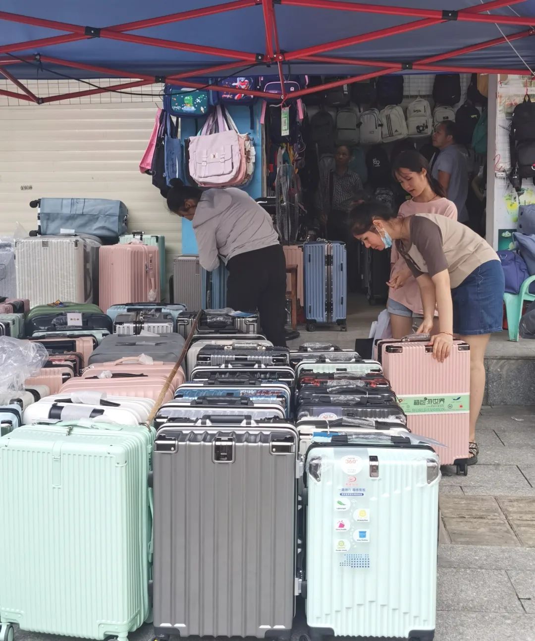 BB电子 BB电子官网“开学经济”火了这些东西你买了吗？(图2)