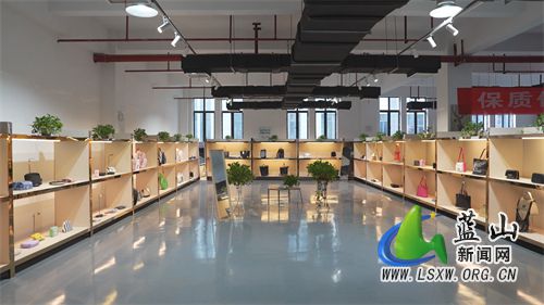 蓝山：发挥区位优势 打造“中国皮具箱包创新之都”BB电子 BB电子网站 入口(图2)