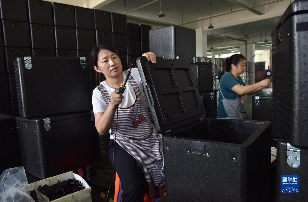 河北威县：送“岗”到家助力就业增收BB电子 BB电的app(图3)