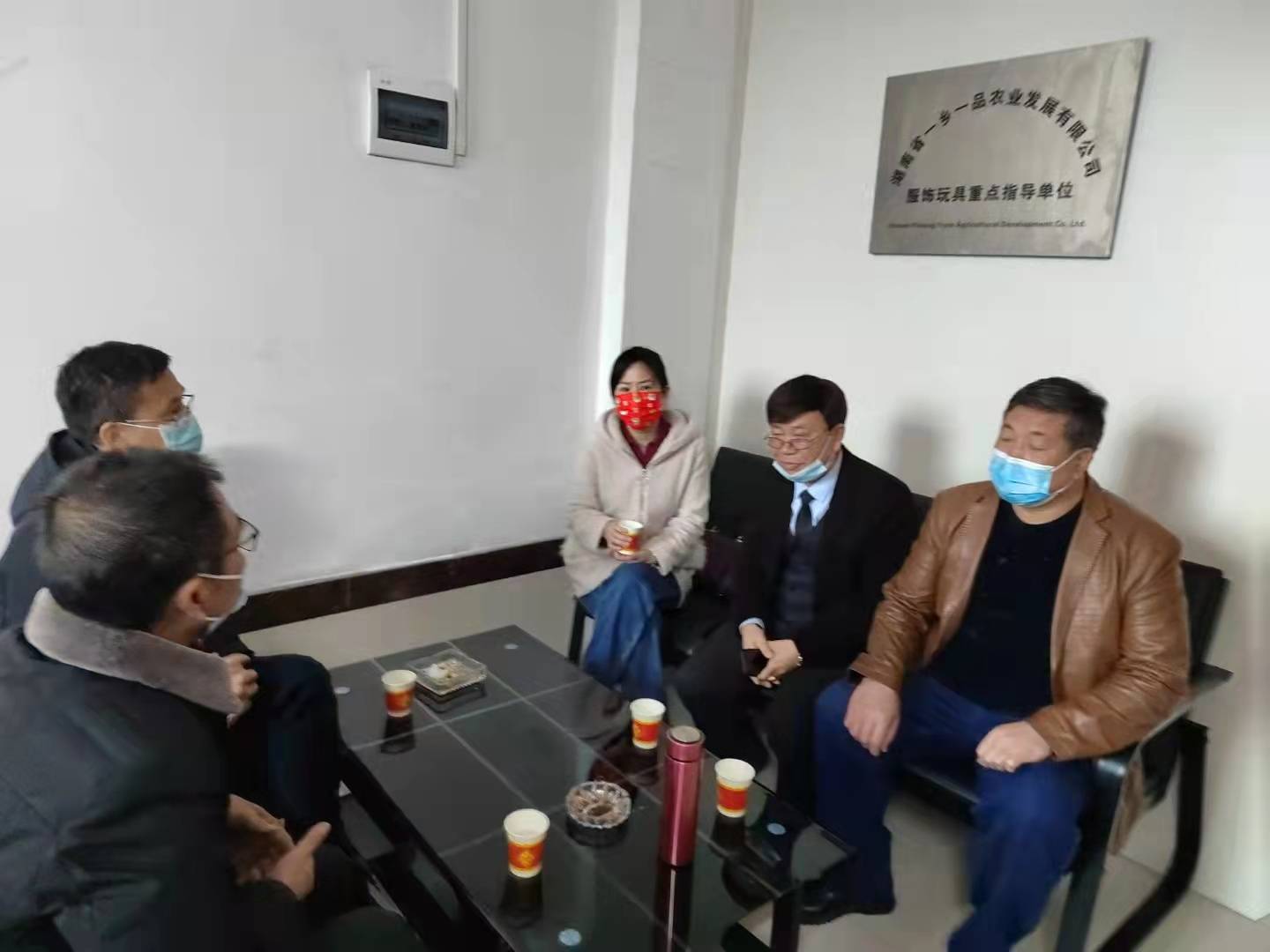 全国人大代表阳海玲亲临一乡一品鹏翔玩具手袋厂考察调研BB电子 BB电子的官网(图6)