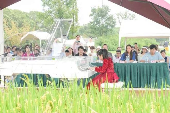 BB电子 BB电子的游戏登上央视！嘉定这里太火了(图4)