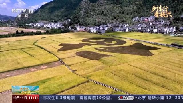 BB电子 BB电子的游戏骑行贵州万峰林 看十万大山变金山银山(图1)
