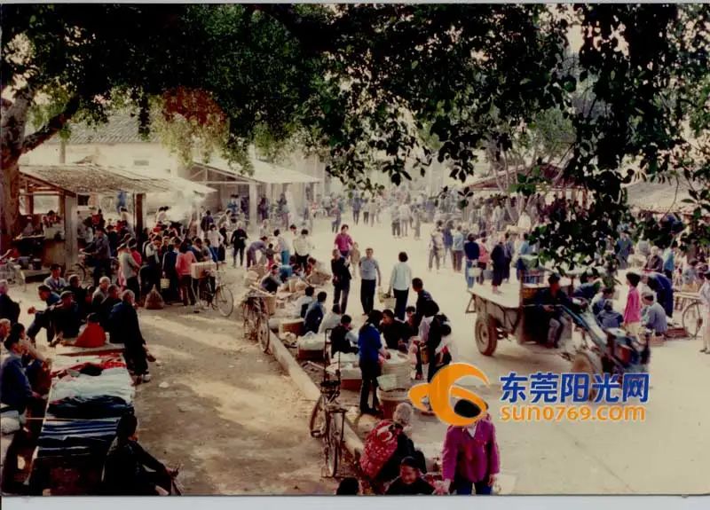东莞这座城凭啥跻BB电子 BB电子的官网身“超大”？(图1)