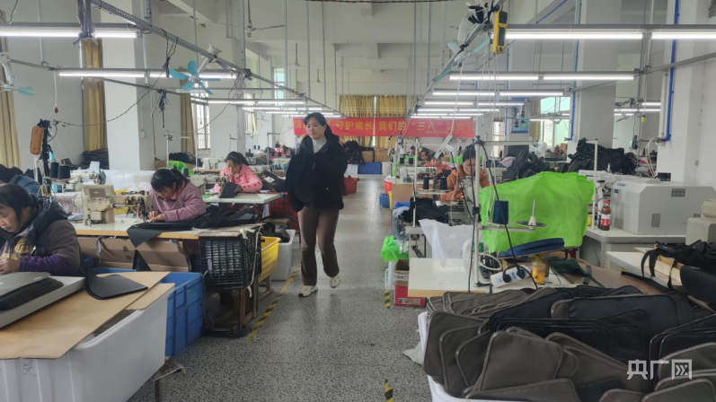 湖南衡阳县：为“她”种出“一个BB电子春天”(图2)