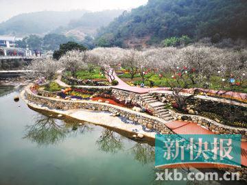 BB电子春节自驾来广东 八大主题旅游任你选(图6)