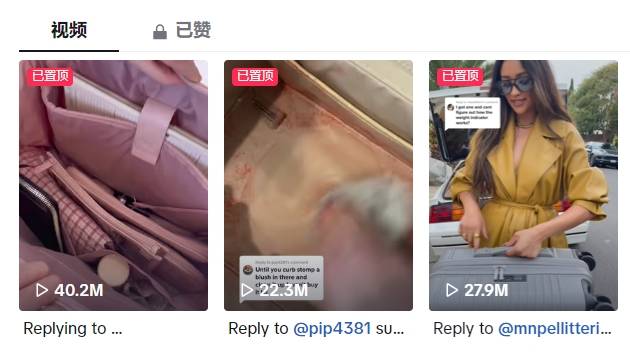 BB电子Béis逆袭成箱包市场亿级大卖年营收2亿美元？它凭什么？(图4)