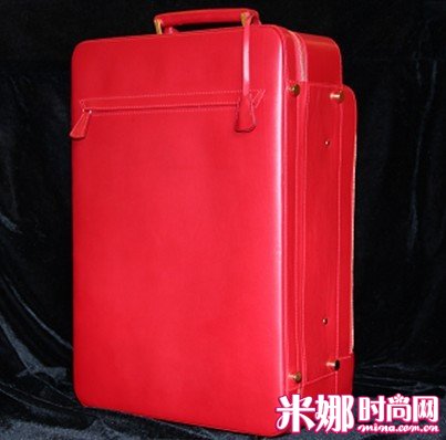 气质款BB电子旅行箱抢先看 闷骚文艺霸气任你选(图3)