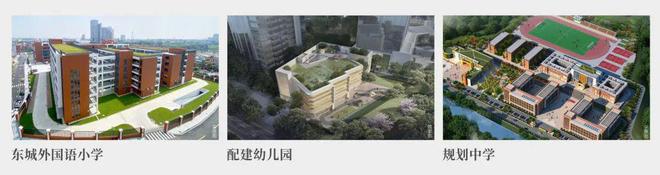 不要忽视！东莞教育正在发生的积极BB电子信号！(图7)