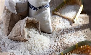 BB电子2024箱包行业市场发展现状及供需趋势分析(图7)
