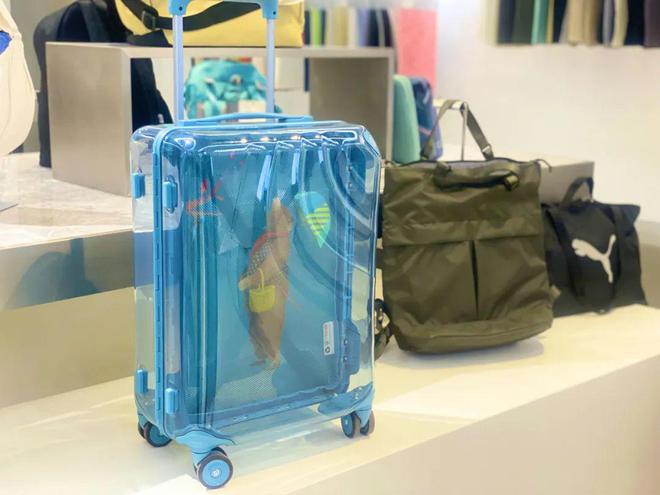 BB电子通过“上海品牌”认证松江这家企业连续7年斩获箱包类品牌第一(图3)